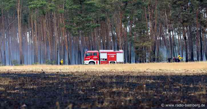 Waldbrand unter Kontrolle: Feuerwehr weiter im Großeinsatz