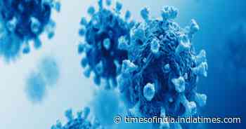 Coronavirus effect: With boosters taken, THESE people should still be careful about COVID - Times of India