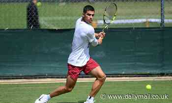 Wimbledon: Carlos Alcaraz calls upon Dan Evans for guidance to prepare for his third match on grass