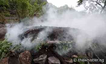 Insecurity Threatens Adamawa Forest – The Whistler Newspaper - The Whistler Nigeria