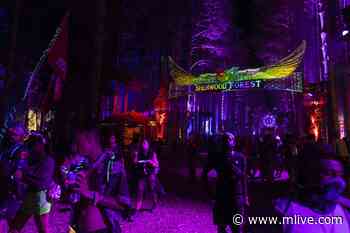 Take a magical trip through Sherwood Forest, the pulse of Electric Forest - MLive.com