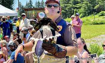'WITH VIDEO': Community flocks to Ferguson Forest Centre for birds of prey show - Ottawa Valley News