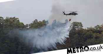 Turkey may bring death penalty back for people who start forest fires - Metro.co.uk