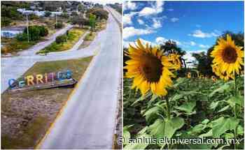 Impulsa municipio de Cerritos nueva imagen urbana basada en los símbolos históricos - El Universal San Luis