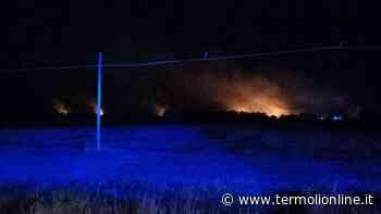 Vasto incendio boschivo tra Chieuti e il confine col Molise - Termoli Online