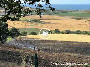 Tornano gli incendi, vasto rogo tra Termoli e San Giacomo - quotidianomolise.com - Il Quotidiano del Molse