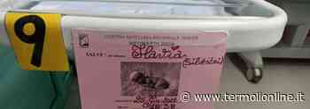 Fiocco rosa al Punto nascita di Termoli: benvenuta Flavia - Termoli Online