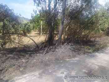 In fiamme Punto alimentata a Gpl, paura a Guglionesi - Termoli Online