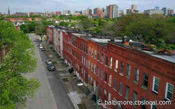 Volunteers Work To Beautify Baltimore, Improve Its Greenspaces - CBS Baltimore