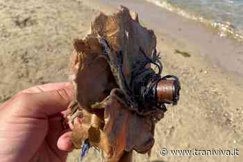 Residui di fuochi d'artificio a Colonna, interviene la Capitaneria di Porto - TraniViva