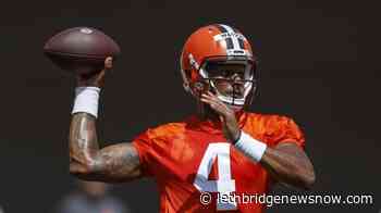 AP sources: Watson to meet with NFL disciplinary officer - Lethbridge News Now