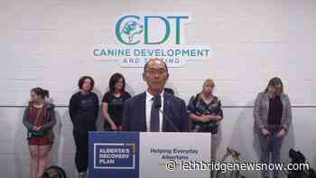 Alberta government invests $300000 to improve access to service dogs - Lethbridge News Now