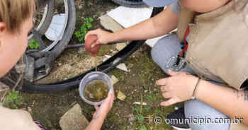 Dengue: número de novos casos seguem diminuindo em Brusque; confira dados - O Município