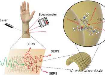 Neuartiger tragbarer chemischer Sensor