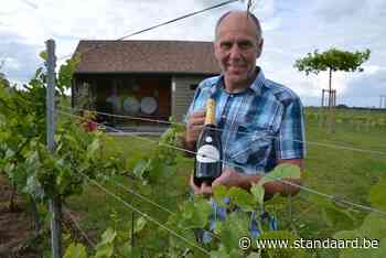 Wijndomein Holvast viert twintigjarig bestaan met wijnfeest (Asse) - De Standaard