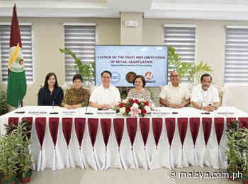 More participants expected to tap power retail aggregation - Malaya