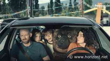 Try No Agency: Wie Heycar seine Kunden vor Bären und ungewolltem Striptease schützt