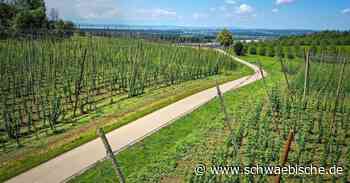 Lindau/Degersee: Eine Frau ist mit ihrem Auto ins Schleudern geraten - Schwäbische