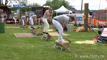 De Schaapsheuvel in Tielt-Winge was het decor voor de allereerste, internationale houthakwedstrijd in België - ROB-tv