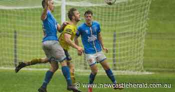 NPL premiers Lambton Jaffas call for leadership on catch-up plan - Newcastle Herald