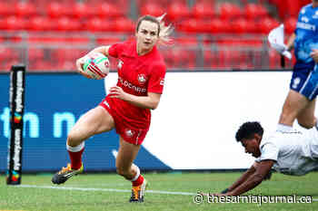 New members join Sarnia-Lambton Sports Hall of Fame - The Sarnia Journal