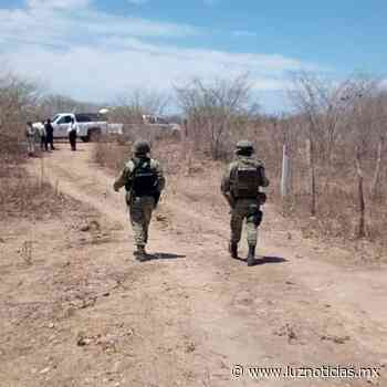 Fueron cinco cuerpos los encontrados en La Cruz de Elota - Luz Noticias