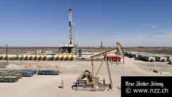 Was wäre, wenn die Nachfragerstaaten den Erdölpreis bestimmen würden? Die Idee klingt verführerisch, sie hat aber Haken und Ösen