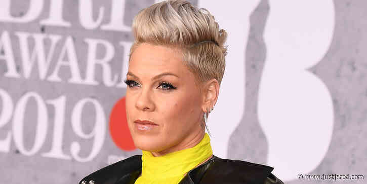 Pink Has A Biting Message For Fans Who Support Supreme Court Abortion Ruling