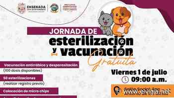 Atenderán a mascotas en San Antonio de las Minas - El Vigia.net