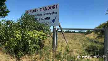 Wirtschaft in Neuruppin: Viele Interessenten, aber kaum Platz – in Neuruppin werden die Gewerbeflächen knapp - Märkische Onlinezeitung