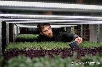 Voedselfestival Half & Half trekt naar slachthuis, 'de buik van Brussel' - BRUZZ