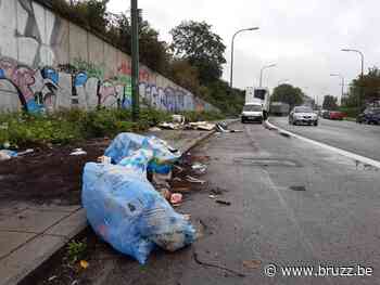 Net Brussel stelt stijging van aantal gevallen van sluikstorten vast - BRUZZ