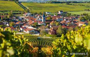 Le Langhe del Barolo e del Tartufo Bianco d'Alba fanno visita alla Champagne - WineNews