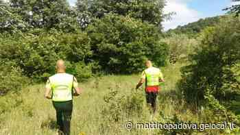 Tambre, ripartite all’alba le ricerche del bambino scomparso, in campo un centinaio di soccorritori - Il Mattino di Padova