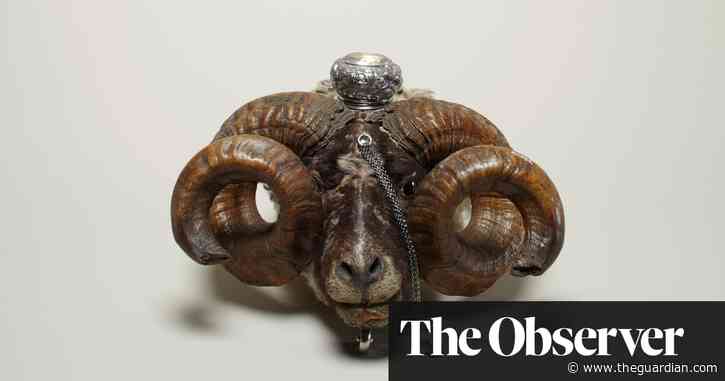 Macabre, biased and fascinating: why you should visit the Wellcome Collection