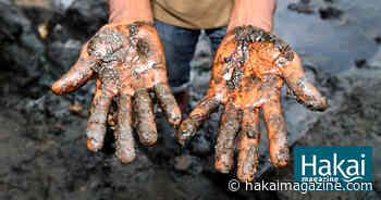 A Reckoning for Big Oil in the Niger Delta - Hakai Magazine