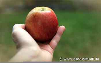 Vallendar: Frau von Jugendlichen mit Apfel attackiert - Blick aktuell