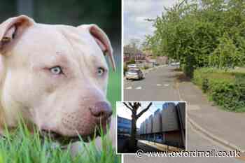 Oxford magistrates say 'dangerous' dog called Sandy must be put down