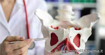 Riabilitazione del pavimento pelvico: quando è indicata? - Gazzetta di Parma