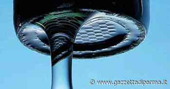 Parma, dalle 8 alle 21 vietata l'acqua per l'orto e per lavare l'auto- La situazione a Parma e in provincia - Gazzetta di Parma