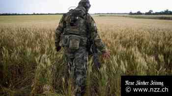 DIE NEUSTEN ENTWICKLUNGEN - Weizen aus der Ukraine: Grossbritannien will sicherstellen, dass gestohlenes Getreide nicht auf den Markt kommt