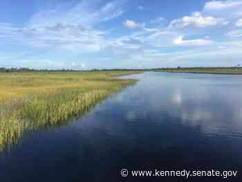 Kennedy announces $14.8 million for coastal restoration projects in Terrebonne, Plaquemines Parishes - Kennedy.Senate.gov