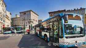 Corse degli autobus a rischio a Trieste, l’Ugl: “L’organico degli autisti doveva essere implementato da tempo” - Il Piccolo