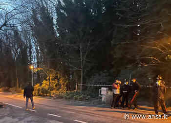 Donna morta Trieste: Procura, attendiamo perizia informatica - Agenzia ANSA