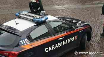 Trieste, torna a casa prima e scopre la compagna a letto con l'amante. Scoppia un putiferio - leggo.it