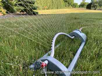 Lawn watering restrictions imposed across Chatham-Kent - Strathroy Age Dispatch