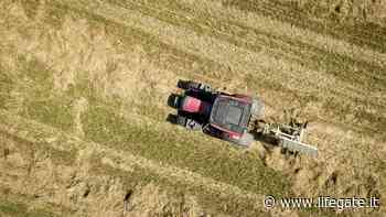 La Commissione europea vuole ripristinare l'80 per cento degli ecosistemi danneggiati e dimezzare l'uso di pesticidi - LifeGate