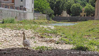 Siccità: nuova diga o cento laghi. Marche in cerca d'acqua verso lo stato d'emergenza - Il Ducato