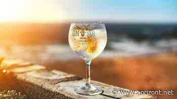 Gin aus Hamburg: So will Gin Sul die Markenwahrnehmung im Sonnenuntergang steigern