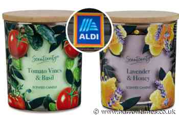 Aldi launches fruit and veg inspired candle to celebrate summer produce – see the scents